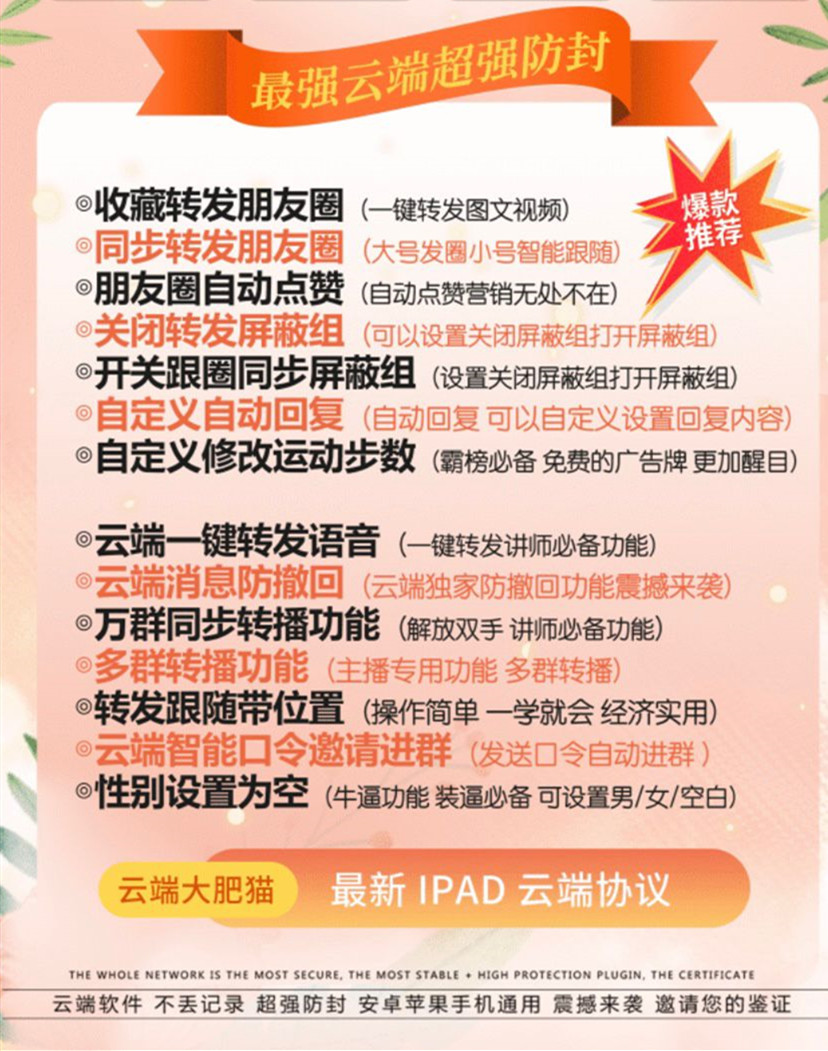 云端大肥猫
